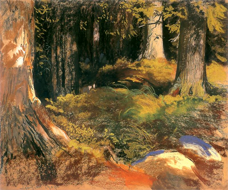    <b> Las w Zakopanem w słońcu</b><br>1905  Pastel na kartonie. 50 x 61 cm<br>Muzeum Narodowe, Kraków  